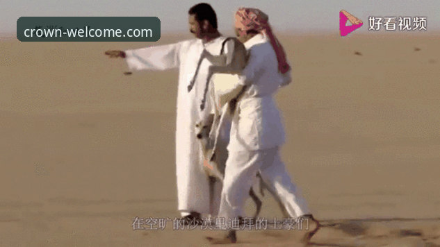 从迪拜到沙漠：在皇冠登录入口掌握顶级赛事动态的实战操作教程