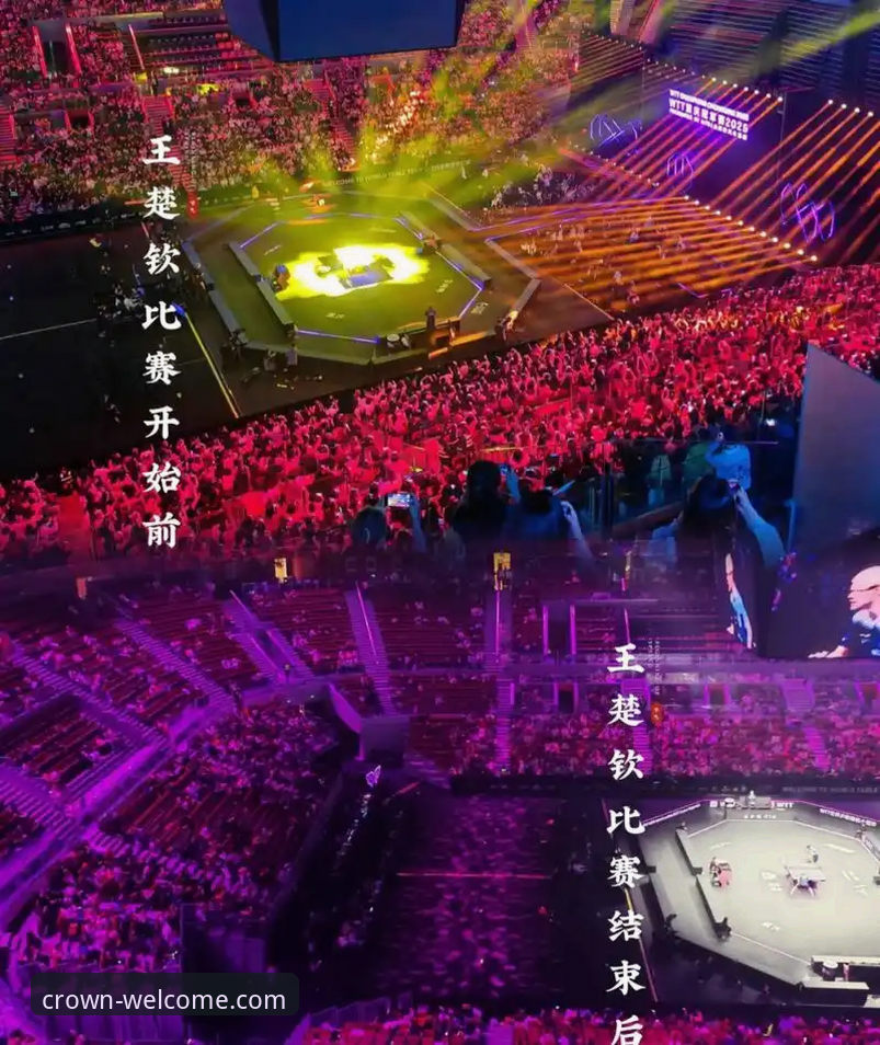 WTT重庆冠军赛决赛最新动态：青春风暴席卷，皇冠登录入口直击未来对决